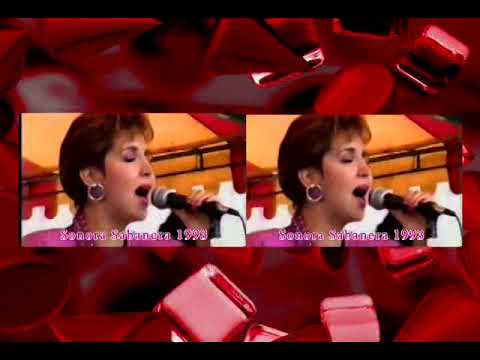 SONORA SABANERA CARIÑITO AZUCARADO SOMBRA DJ SAN LUIS POTOSI