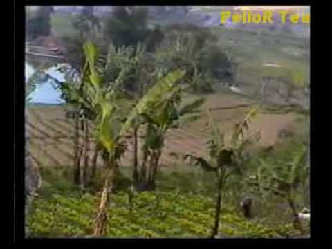 Dedy Krisna - Ulah Ceurik