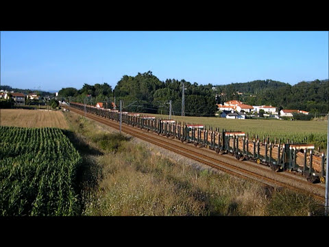 Comboio Especial n.º 92214 - Tadim