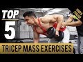 TOP 5 BIG TRICEP MASS EXERCISES! (Hindi / Punjabi)
