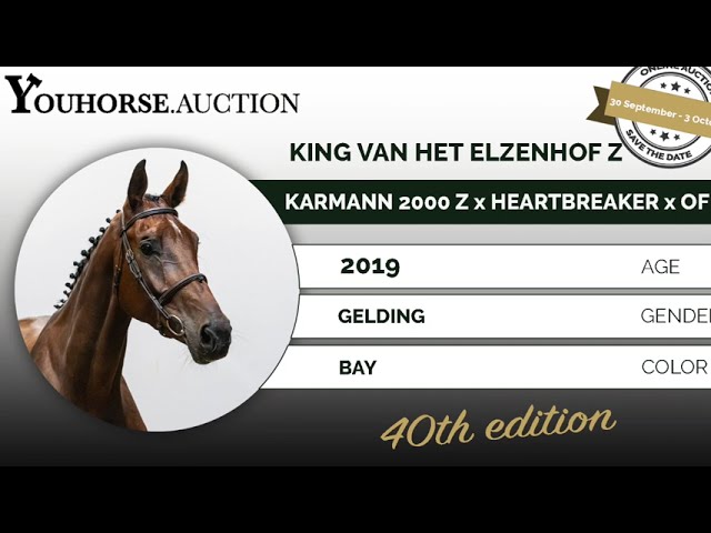 King van het Elzenhof Z Loose Jumping @ Home