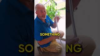This Trick Makes Painting Your Door Perfect Every Time