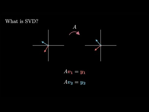 What is the Singular Value Decomposition?