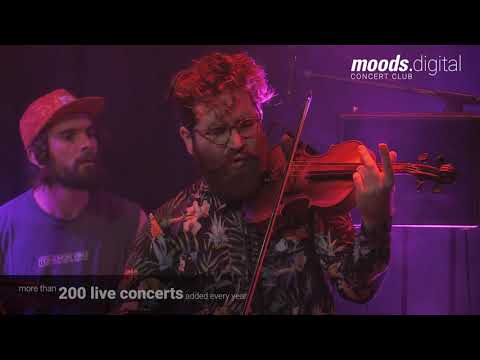 Théo Ceccaldi FREAKS - Live at MOODS - Zürich