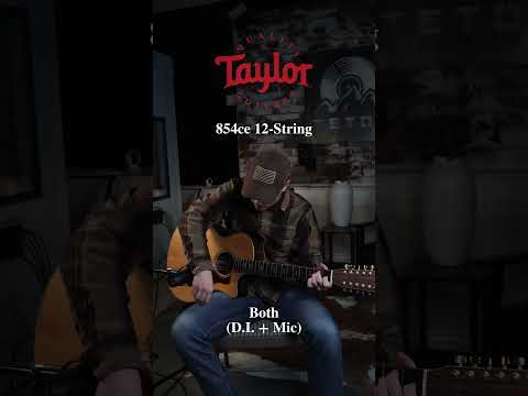 Taylor 854ce 12-string 2007 image 8