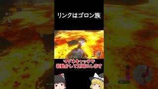 【ブレワイ】溶岩に立つ試練