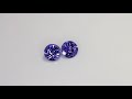 Coppia di Tanzaniti, taglio rotondo, 1.66 ct tot. Video 1
