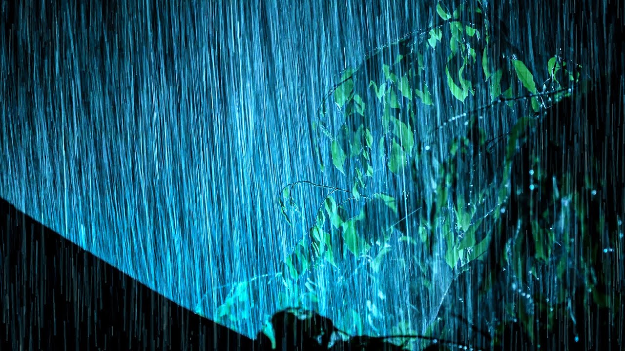 Goodbye Insomnia with Heavy Rain & Thunder Growls on a Stale Tin Roof in Foggy Murky Forest at Night