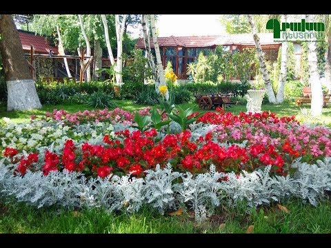 Drakht Garden Hall