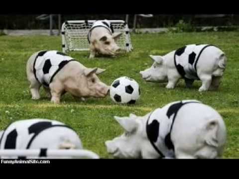 Tito Fernandez  Cero a Cero - imágenes divertidas