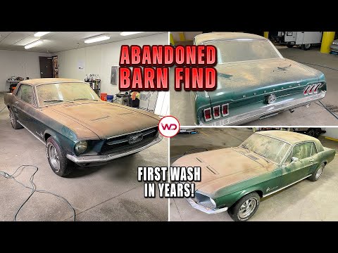 Thumbnail for ABANDONED BARN FIND First Wash In Years Mustang! American Muscle Car Detailing Restoration by Muscle car