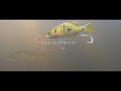 Big Baits in the Jungle pt 2: FangGiant