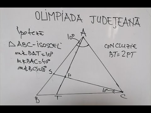 Olimpiada Județeană, cls.VII-a
