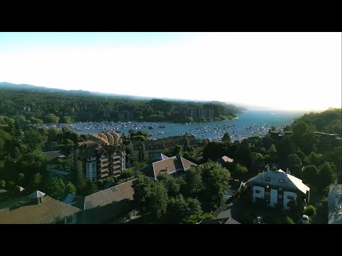 Goro Dragoni - El Perfumista (2026)