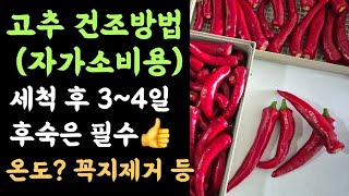 고추 건조방법(자가소비용) 세척 후 3~4일 후숙은 필수???? 건조온도? 꼭지제거 등