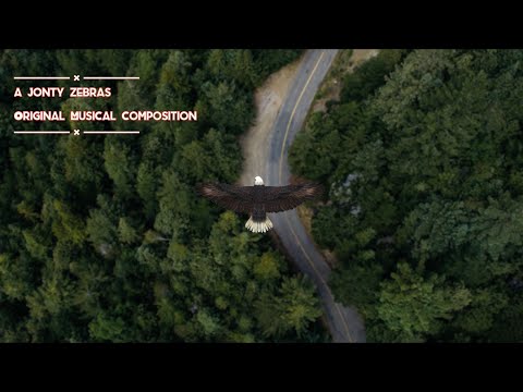 “Elektro Sufi in E Minor” - A Zebra Original Soundtrack. Peppy dance mix. House. Trance. Soulful.