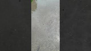 Download lagu After the rains 5/29/19 mp3