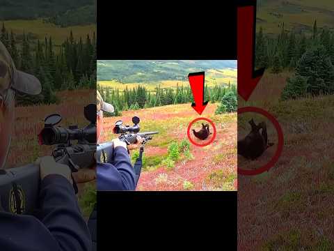 потрясающий снимок медведя так близко