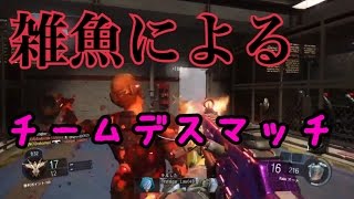【BO3実況】雑魚によるチームデスマッチ