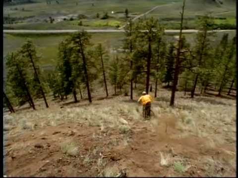 Bender - New World Disorder