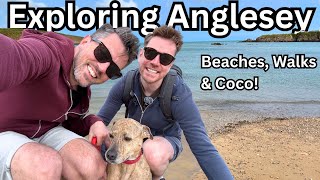 Exploring Anglesey With Our Dog! Beaches, Cruise Ships & Coastal Walks