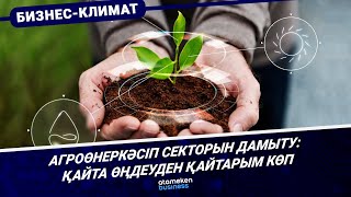 Агроөнеркәсіп секторын дамыту: қайта өңдеуден қайтарым көп