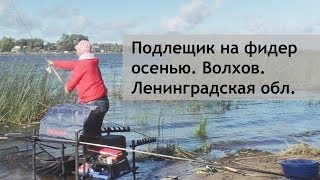 Клев леща в сентябре ленинградская область