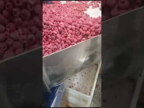 Ahududu Belarus dondurulmuş GRIS, EKSTRA. fotoğraf, video