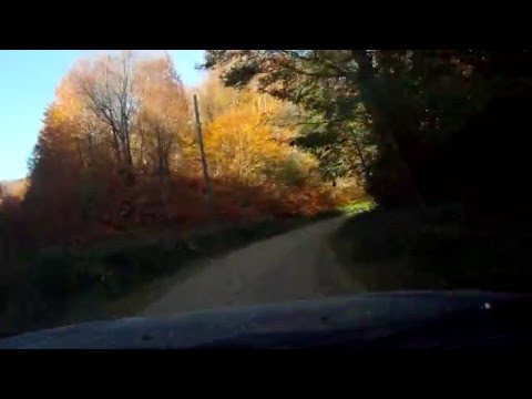 Lapusnic-Ravensca Oct 2015