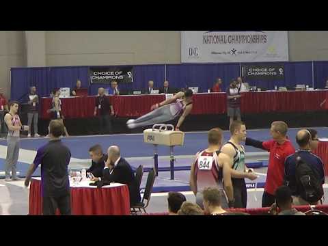 Vitaliy Guimaraes Pommel Horse - 2018 JO Nationals - Level 10 JE