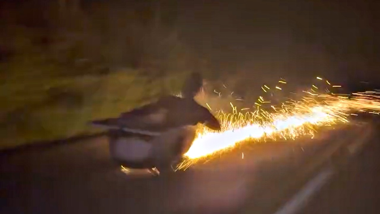 UNUSUAL MEMES COMPILATION V346