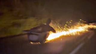 UNUSUAL MEMES COMPILATION V346