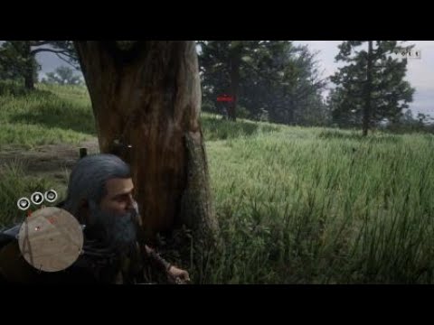 Red Dead Redemption 2 griefing problem