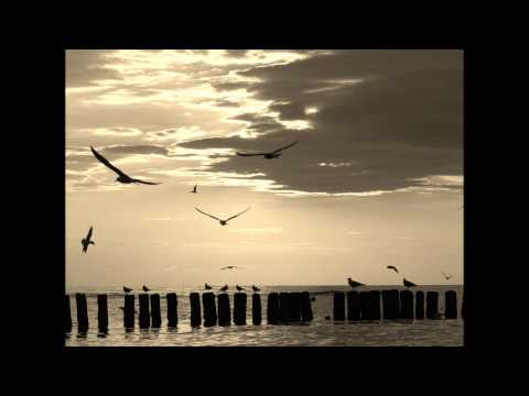 Dance Club feat Kate Lesing - Back To The Earth Dutch Trance Force extended rmx)