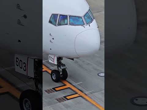 Boeing 767 Block-In with Powerful CF6 Engine Sound | Aircraft Arrival at Gate