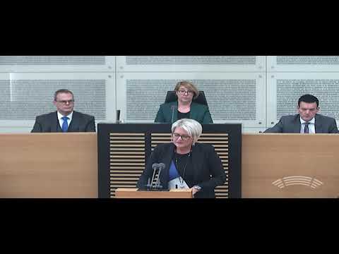 Ruth Meyer CDU TOP5 20. Plenarsitzung 16. Wahlperiode 14.11.2018