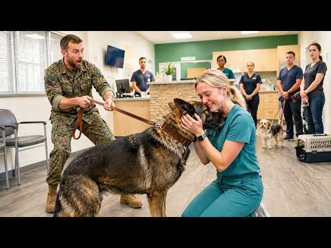 “Don’t Touch, He’ll Attack” The SEAL At The Vet Smirked—Until The Nurse Spoke And His K9 Chose Her