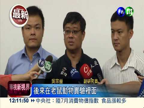 男性隱形殺手! 研發攝護腺癌疫苗