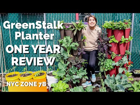 GreenStalk Planter ONE YEAR Review | Vertical & Small Space Gardening // Container Gardening