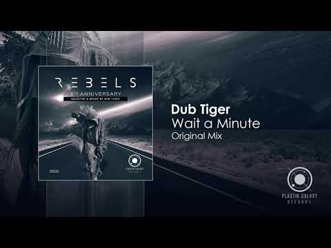 Dub Tiger - Wait a Minute (Original Mix)