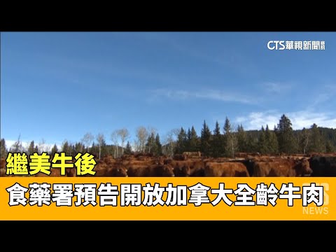 繼美牛後　食藥署預告開放加拿大全齡牛肉