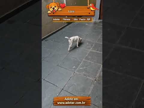 Vídeo de Lore