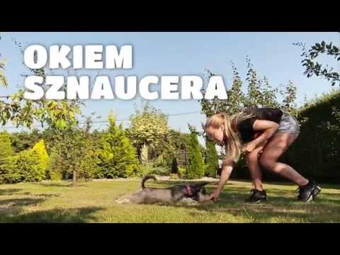 Okiem sznaucera #5 - zdechł pies