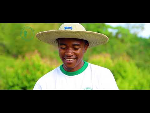 KAPEPEKY - OTIV, PARE IZY