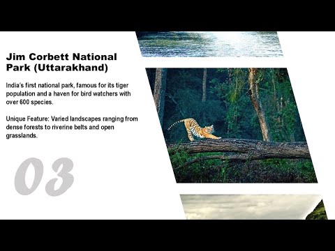 Seamless Slideshow with Morph | Creative Visuals #PowerPoint #Presentation