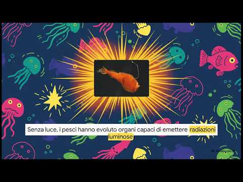 41. I Grandi Ambienti della Terra: Viaggio tra Biomi, Climi e Natura