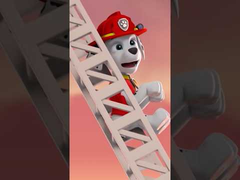 Test. Test. 1, 2, 3 🎤🎧 Mehr von PAW Patrol in der TOGGO App!