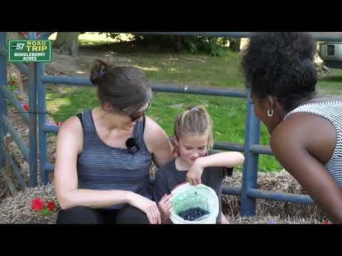 ABC57 Road Trip: U-Pick season underway at South Haven's Bumbleberry Acres
