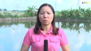 Sử dụng chế phẩm sinh học trong nuôi trồng thủy sản