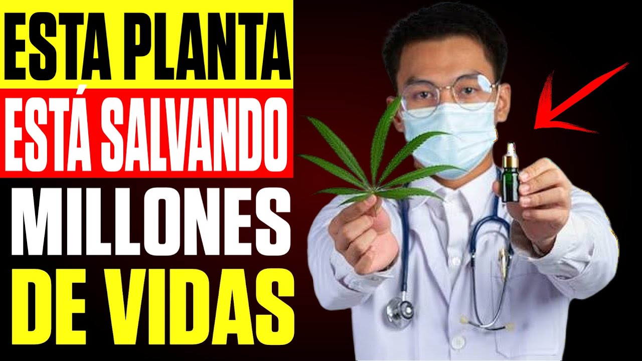 🥬LA PLANTA MEDICINAL MÁS PODEROSA QUE DEBES TENER EN TU JARDIN